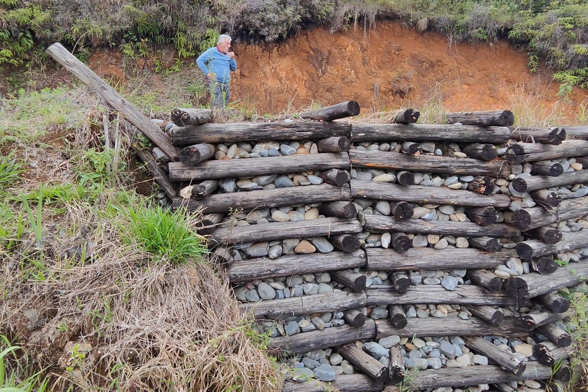 Obra de bioingeniería para estabilización de talud